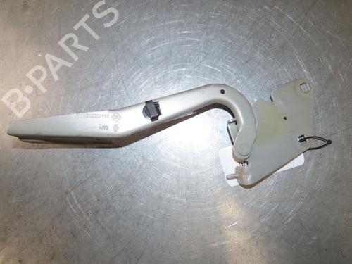 Hinge/Door check strap RENAULT MEGANE III Hatchback (BZ0/1_, B3_) 1.5 dCi (BZ0C) | BP29380712C146 