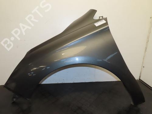 Left front fenders CITROËN C4 II (NC_) 1.6 HDi 90 | BP30955719C41 