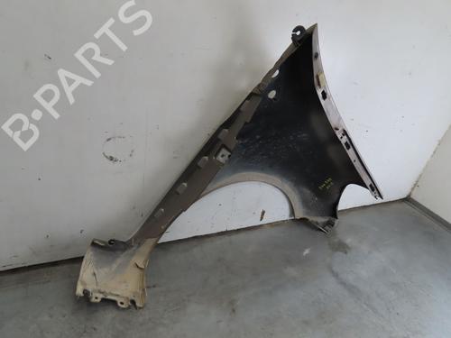 Left front fenders RENAULT CLIO III (BR0/1, CR0/1) 1.5 dCi (C/BR0G, C/BR1G) | BP17775857C41 