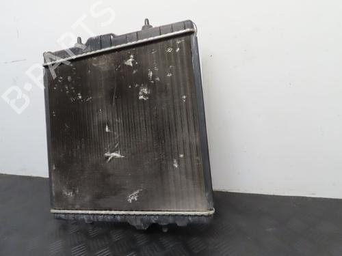 Køler PEUGEOT 206+ (2L_, 2M_) 1.4 i (2LKFWA, 2MKFWA) (75 hp) 25150631