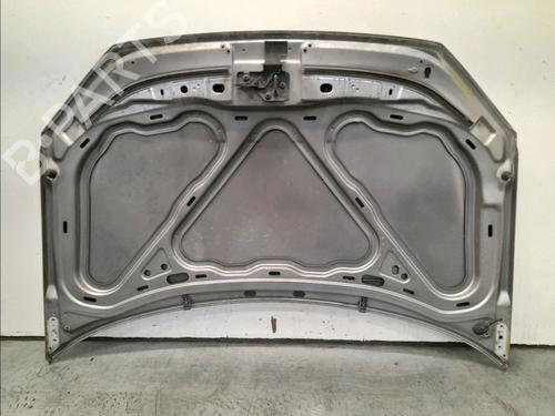 Hood VW POLO IV (9N_, 9A_) 1.2 | BP23158525C1 