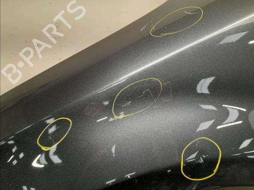 Left front fenders KIA CEE'D Hatchback (ED) 1.6 CRDi 90 | BP22381730C41