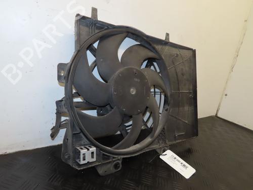 Used Radiator fan PEUGEOT 207 (WA_, WC_) [2006-2015]  25150644
