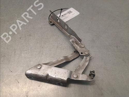 Hinge/Door check strap VW GOLF V (1K1) 1.9 TDI | BP30116988C146