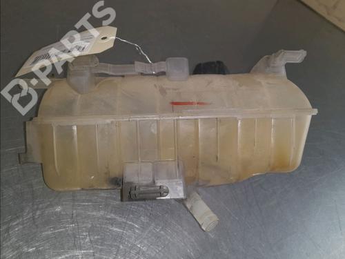 Used Expansion tank RENAULT KANGOO Express (FW0/1_) 1.5 dCi 85 (FW0K, FW0L, FW0B) (86 hp) 11876369
