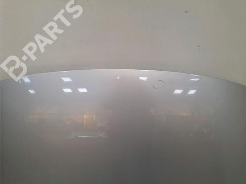 Hood RENAULT SCÉNIC III (JZ0/1_) 1.6 dCi (JZ00, JZ12) | BP11131238C1