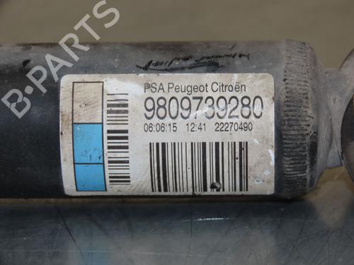 Left rear shock absorber CITROËN C4 CACTUS 1.6 BlueHDi 100 | BP18779461M18 