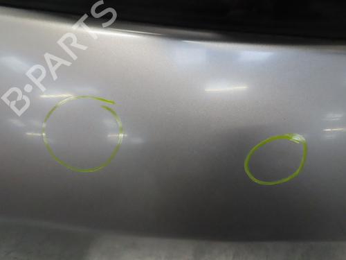 Tailgate RENAULT CLIO III (BR0/1, CR0/1) 1.5 dCi | BP32037667C6 