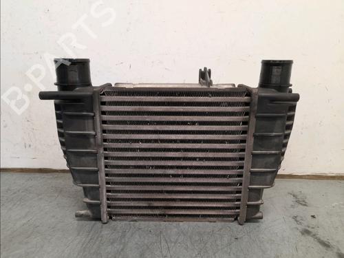 Used Other RENAULT CLIO III (BR0/1, CR0/1) 1.5 dCi (BR17, CR17) (86 hp) 23157855