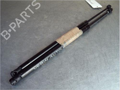 Tailgate lift support RENAULT SCÉNIC II (JM0/1_) 1.9 dCi (JM0G, JM12, JM1G, JM2C) | BP14857634C138 