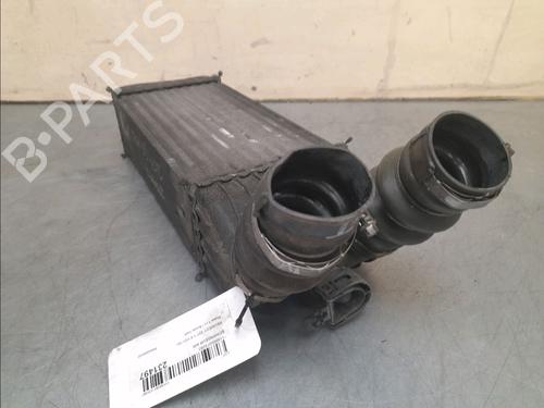 Used Other PEUGEOT 207 (WA_, WC_) 1.6 HDi (90 hp) 15902570