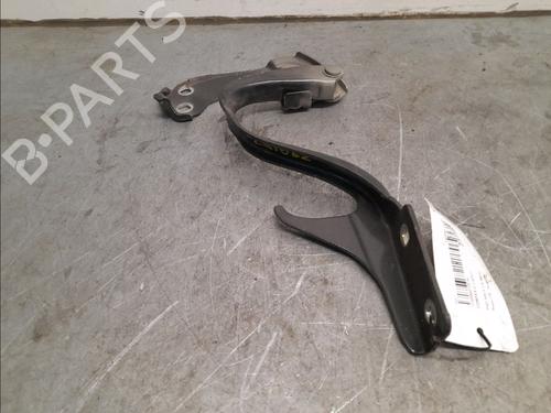 Hinge/Door check strap FIAT 500 (312_) 1.2 (312AXA1A) | BP16105844C146 