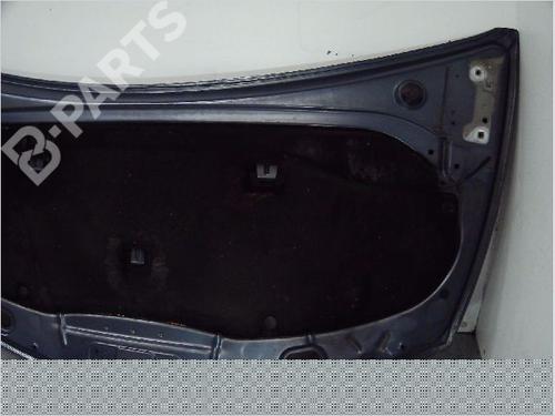 Hood RENAULT CLIO III (BR0/1, CR0/1) 1.5 dCi (BR17, CR17) | BP9410575C1 