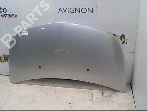 Used Hood RENAULT CLIO III (BR0/1, CR0/1) 1.2 16V (BR02, BR0J, BR11, CR02, CR0J, CR11) (75 hp) 9405765