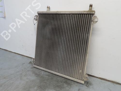 Used Heater matrix RENAULT TWINGO I (C06_) 1.2 16V (C06C, C06D, C06K) (75 hp) 18662966