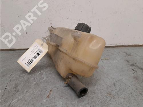 Expansion tank RENAULT CLIO III (BR0/1, CR0/1) 1.5 dCi | BP11976254C120 