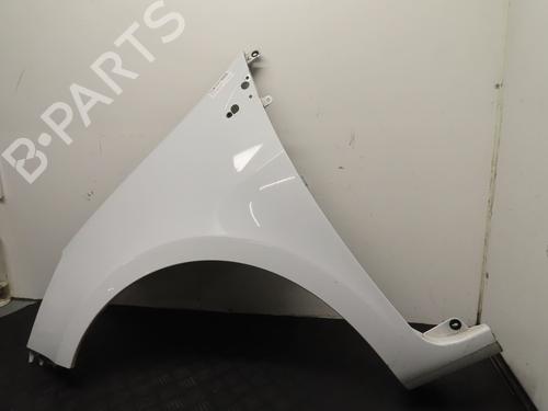 Left front fenders RENAULT CLIO III (BR0/1, CR0/1) 1.5 dCi (C/BR0G, C/BR1G) | BP22366865C41 