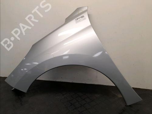 Left front fenders PEUGEOT 207 (WA_, WC_) 1.6 HDi | BP28032885C41 