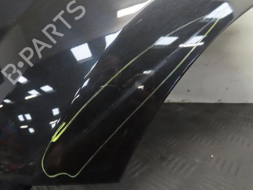Left front fenders RENAULT TWINGO II (CN0_) 1.2 16V (CN0K, CN0V, CN0A) | BP29016785C41 