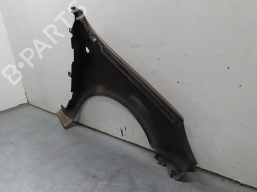 Left front fenders RENAULT KANGOO / GRAND KANGOO II (KW0/1_) 1.5 dCi 110 (KW0C, KW0H) | BP22366852C41 