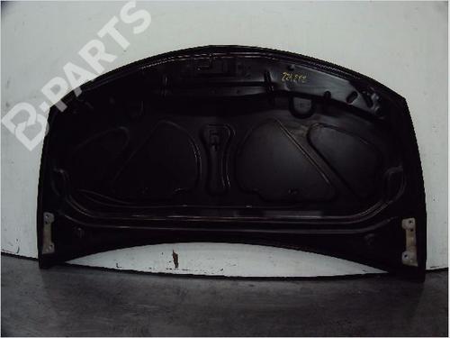 Hood RENAULT CLIO III (BR0/1, CR0/1) 1.4 16V | BP11098421C1 