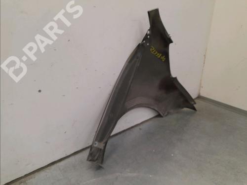 Left front fenders RENAULT MEGANE III Hatchback (BZ0/1_, B3_) 1.9 dCi (BZ0N, BZ0J) | BP11976282C41 