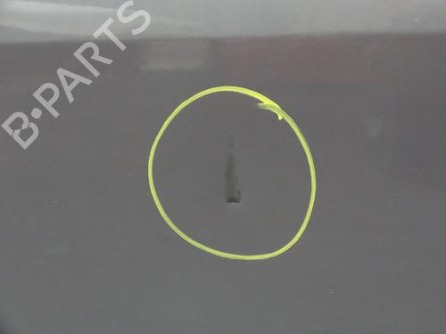 Left front door RENAULT MEGANE II (BM0/1_, CM0/1_) 1.6 16V (BM0C, CM0C) | BP18859204C2 