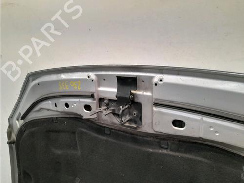 Used Hood VW POLO IV (9N_, 9A_) 1.4 TDI (70 hp) 23158523