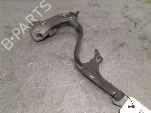 Hinge/Door check strap FIAT 500 (312_) 1.2 (312AXA1A) | BP16130368C146