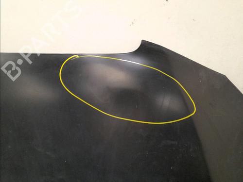 Hood LANCIA DELTA III (844_) 1.6 D Multijet (844.AXC11, 844.AXC1A) | BP15770761C1 