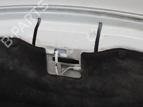 Capot PEUGEOT PARTNER Tepee 1.6 BlueHDi 100 (100 hp) 18066177