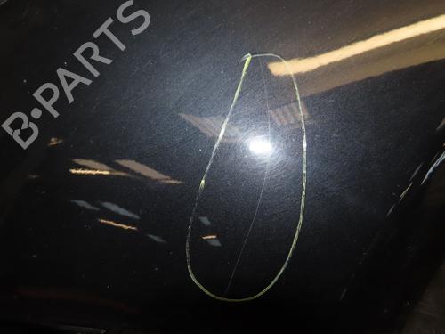 Parafango anteriore sinistro FIAT 500 (312_) 1.2 (312AXA1A) (69 hp) 31119910