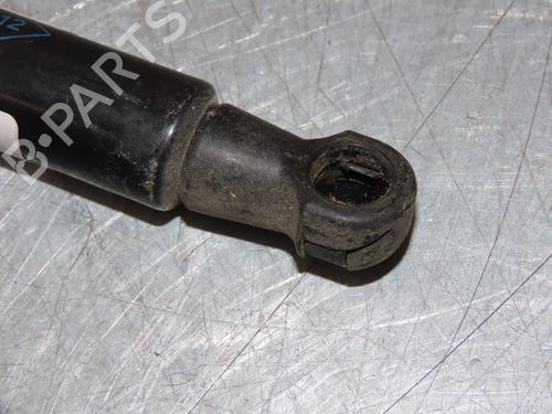 Hood lift support RENAULT SCÉNIC IV (J9_) 1.2 TCe 130 | BP29294013C139 