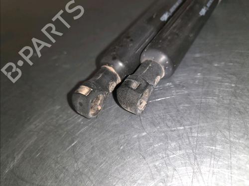 Tailgate lift support RENAULT SCÉNIC III (JZ0/1_) 1.5 dCi (JZ02, JZ0R) | BP14857718C138
