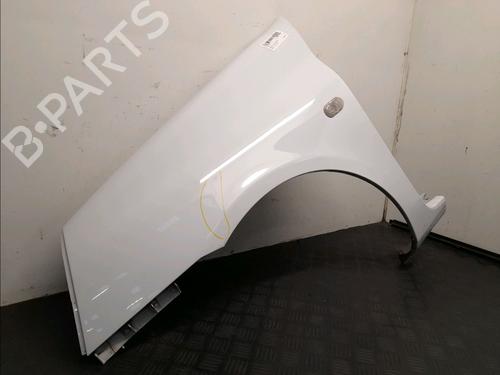 Left front fenders RENAULT CLIO II (BB_, CB_) 1.2 (BB0A, BB0F, BB10, BB1K, BB28, BB2D, BB2H, CB0A,... | BP22381738C41 