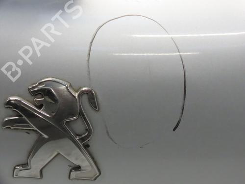 Tailgate PEUGEOT 208 I (CA_, CC_) 1.2 VTI 82 | BP22367565C6 