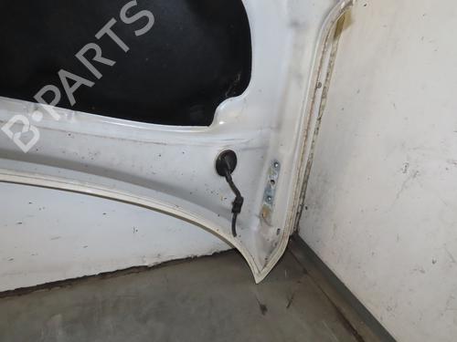 Hood VW TRANSPORTER T5 Van (7HA, 7HH, 7EA, 7EH) 2.5 TDI | BP30630700C1 