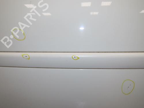 Left front door RENAULT TWINGO II (CN0_) 1.5 dCi 75 | BP28685694C2 
