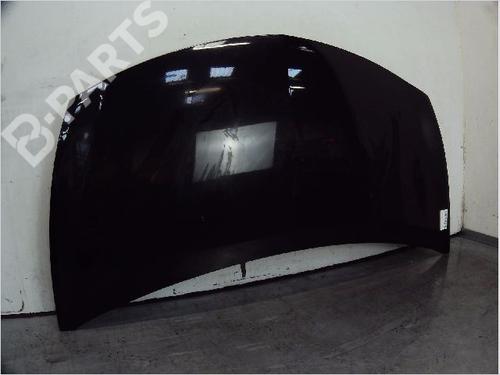 Hood RENAULT CLIO III (BR0/1, CR0/1) 1.4 16V | BP11098421C1 