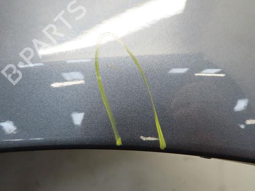 Left front fenders RENAULT CLIO II (BB_, CB_) 1.5 dCi (B/C2J) | BP29016784C41 