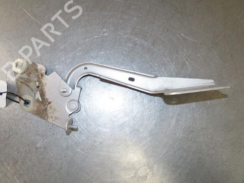 Hinge/Door check strap RENAULT MEGANE III Hatchback (BZ0/1_, B3_) 1.5 dCi (BZ0C) | BP29380712C146 