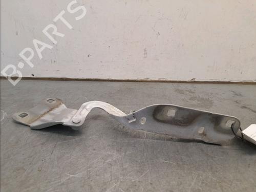 Hinge/Door check strap RENAULT TWINGO II (CN0_) 1.5 dCi 75 | BP14945419C146 