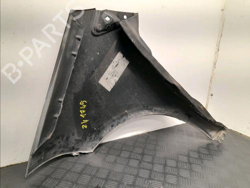 Right front fenders MERCEDES-BENZ A-CLASS (W169) A 180 CDI (169.007, 169.307) | BP22366835C42 