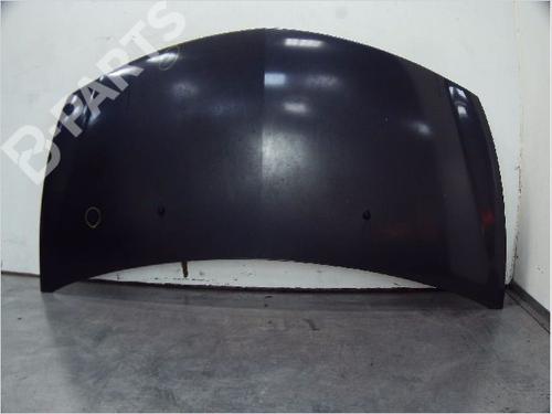 Used Hood RENAULT CLIO III (BR0/1, CR0/1) 1.5 dCi (BR17, CR17) (86 hp) 10372904