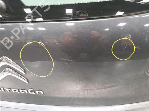Tailgate CITROËN C3 II (SC_) 1.4 HDi 70 (SC8HZC, SC8HR0, SC8HP4) | BP14945933C6 