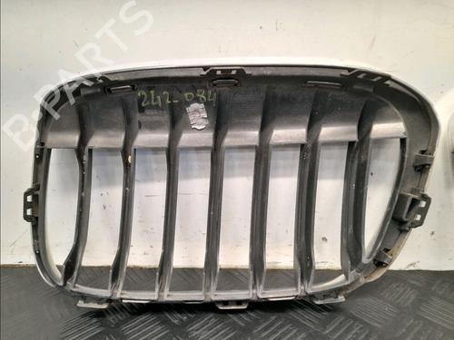 Grille BMW X1 (F48) xDrive 20 d | BP27665766C40 