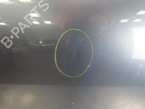Left front door CITROËN C4 Picasso I MPV (UD_) 1.6 HDi 110 | BP17468800C2 