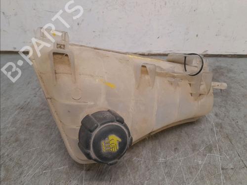 Expansion tank RENAULT KANGOO Express (FW0/1_) 1.5 dCi 70 (FW0A, KW0V) | BP16276614C120 