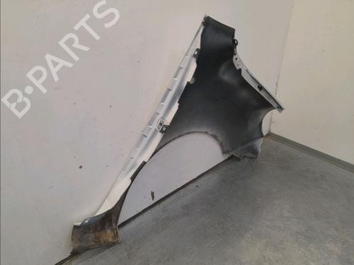 Left front fenders RENAULT KANGOO Express (FW0/1_) 1.5 dCi 70 (FW0A, KW0V) | BP12207345C41 