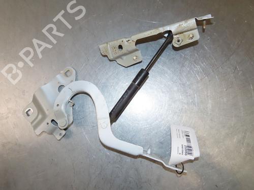 Hinge/Door check strap RENAULT ZOE (BFM_) ZOE | BP29380716C146 